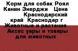 Корм для собак Роял Канин Энерджи › Цена ­ 3 500 - Краснодарский край, Краснодар г. Животные и растения » Аксесcуары и товары для животных   
